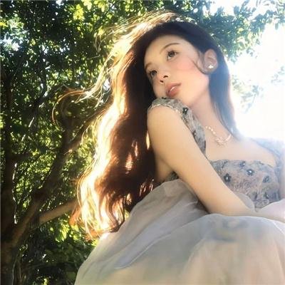 至上之法